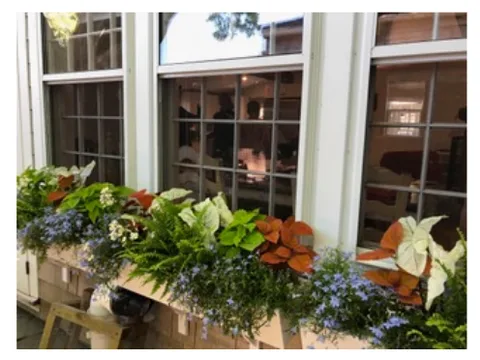 Deborah L. Wilson Garden Services LLC
