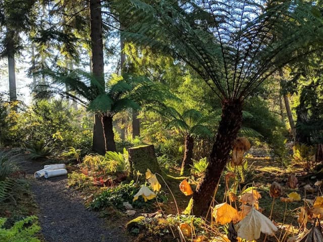 Heronswood Garden