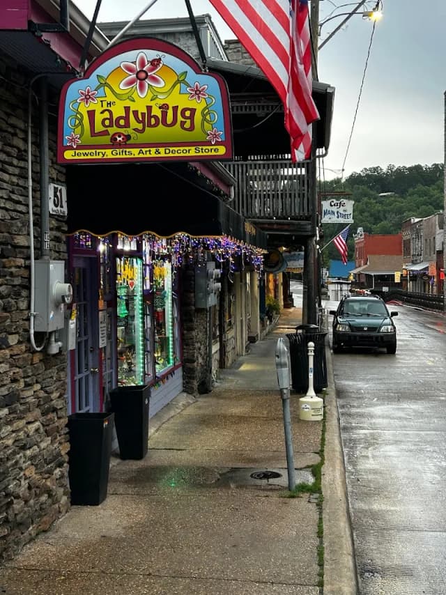 The Ladybug Emporium