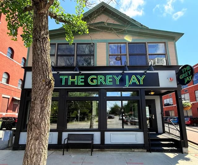 The Grey Jay