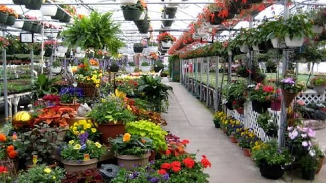 Breeze Hill Greenhouse