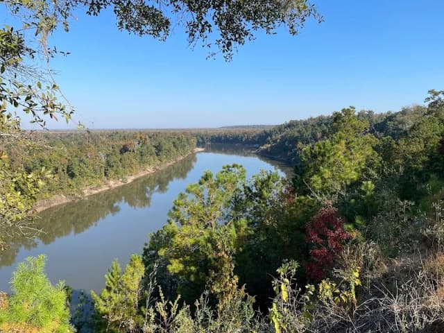 The Nature Conservancy Apalachicola Bluffs and Ravines Preserve (Garden of Eden trail)
