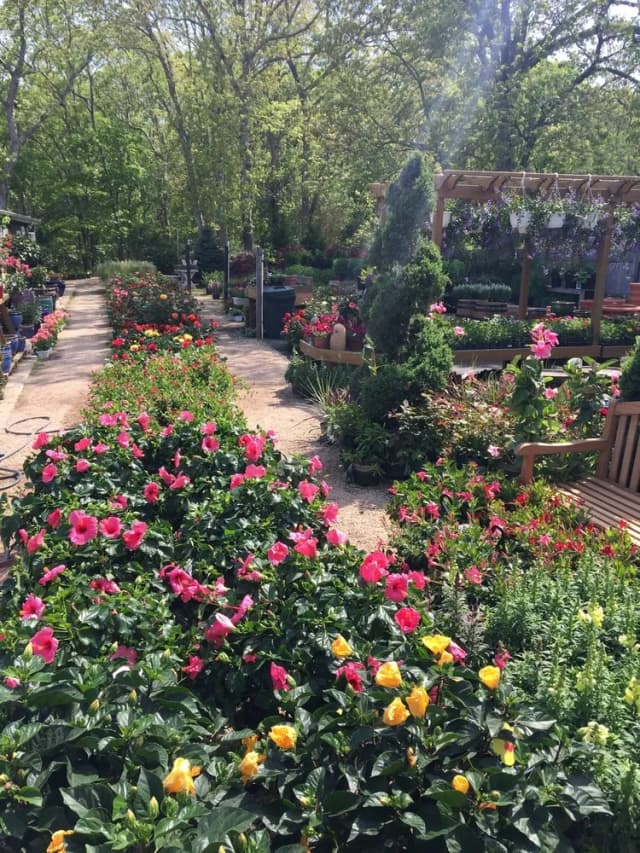 Aspatuck Gardens Inc