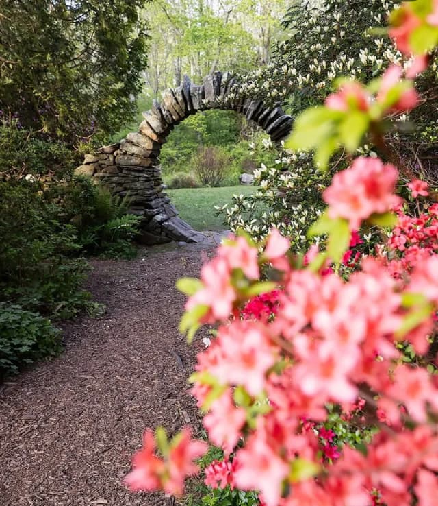 Kinney Azalea Gardens