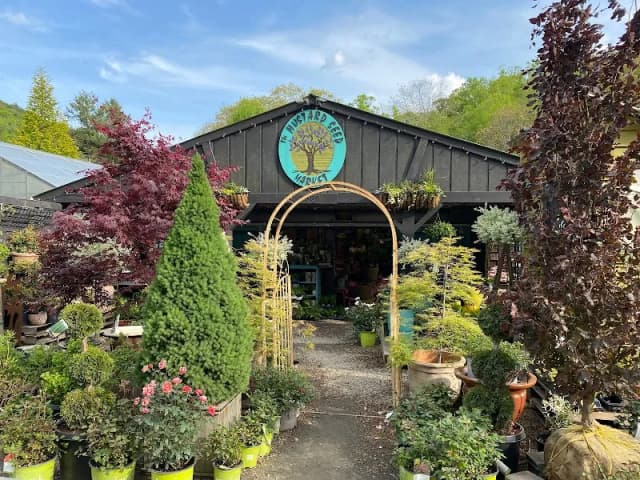 The Mustard Seed Market