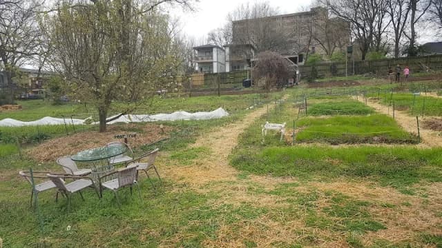Wedgewood Urban Gardens