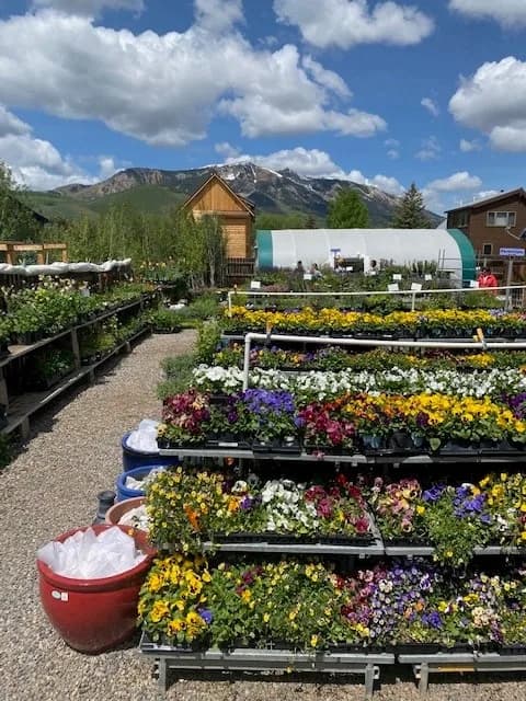 Alpengardener CB South