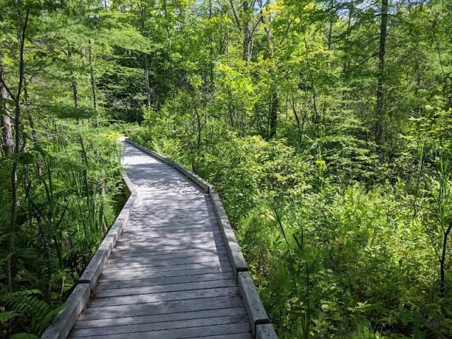 Eshqua Bog Natural Area