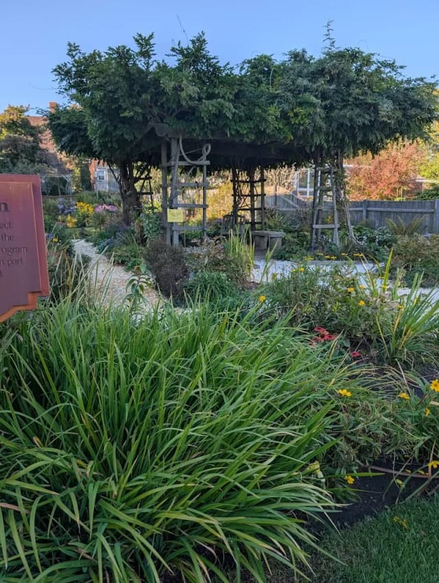 Suzanne’s Garden