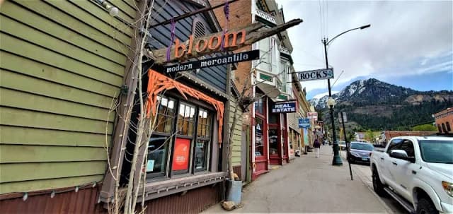Bloom Modern Mercantile