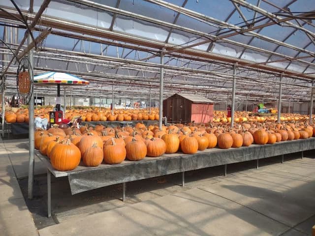 Country Sun Farm & Greenhouses