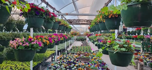 Bayfield Gardens