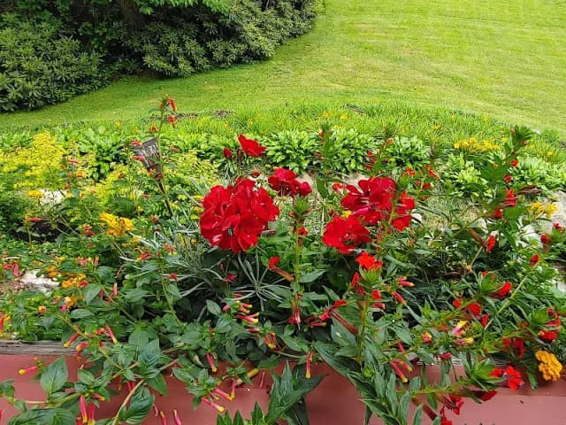Highlands Lawn & Garden