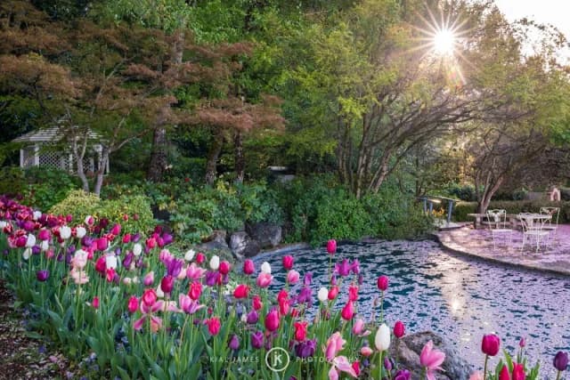 Crystal Hermitage Gardens