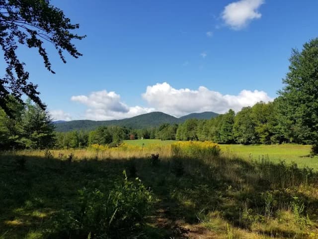 Wiessner Woods