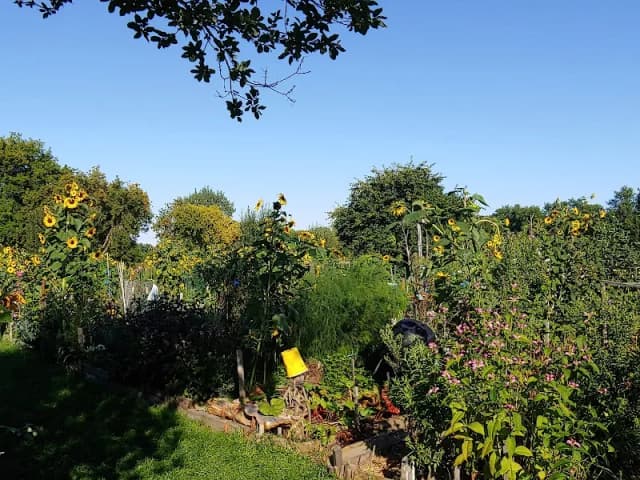 Tommy Thompson Community Garden