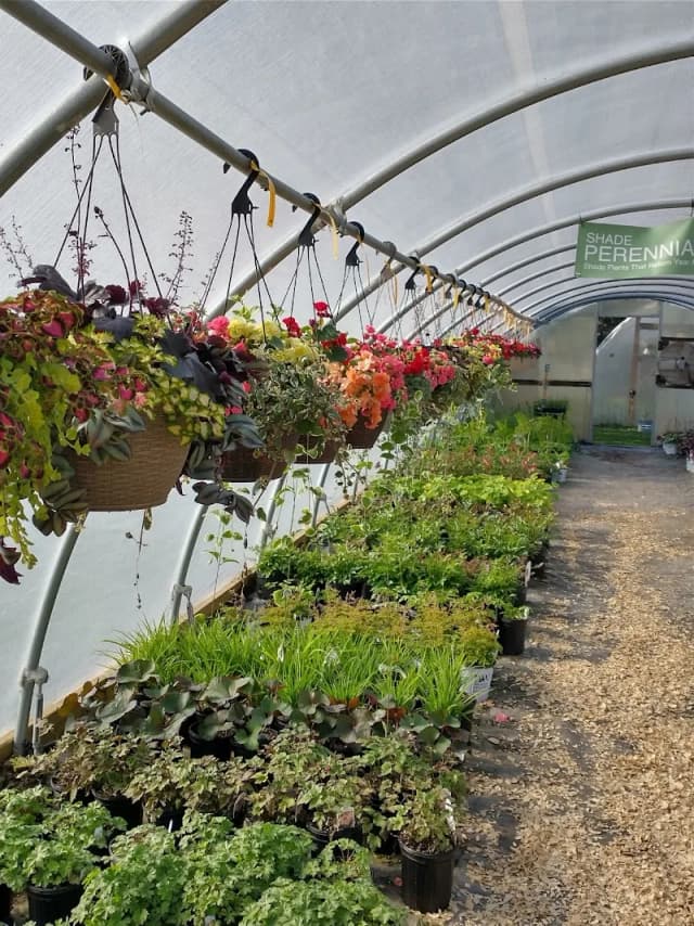 Murphy's Gardens
