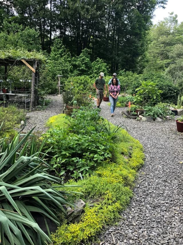 Hortus Arboretum and Botanical Gardens