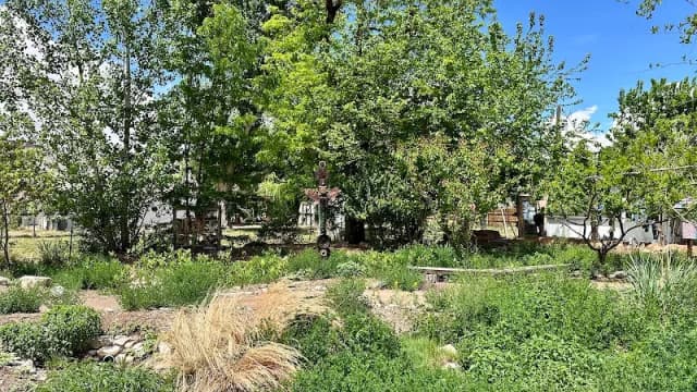The CommuniTea Garden