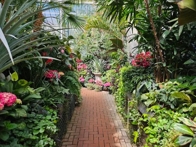 Biltmore Conservatory