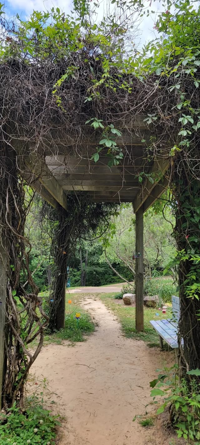 Girl Scouts Butterfly Garden