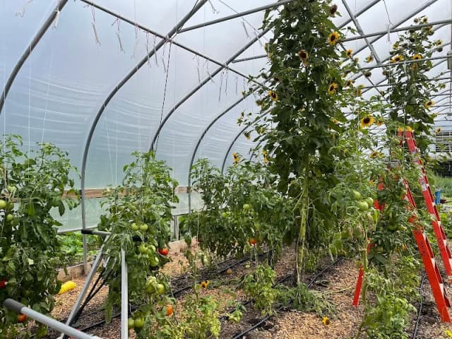 The Giving Garden at Coogan Farm