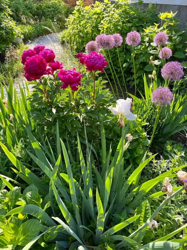 Garden Renovations Nursery