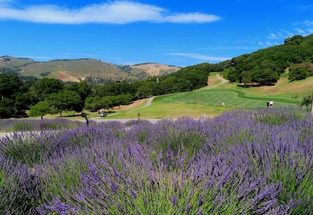 Carmel Valley Ranch - Organic Garden