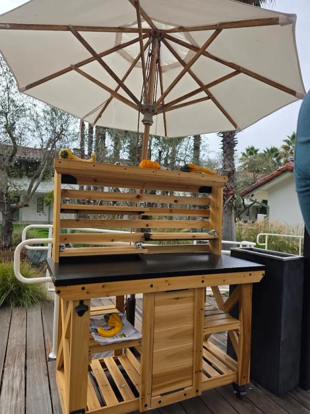 La Palmeraie Lounge