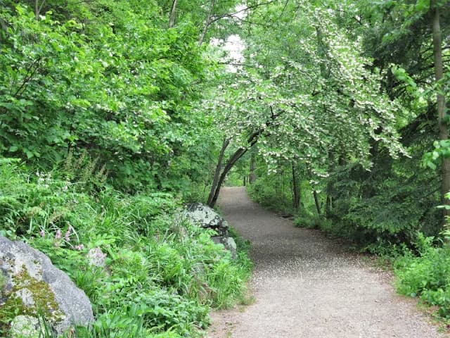 Asheville Botanical Garden