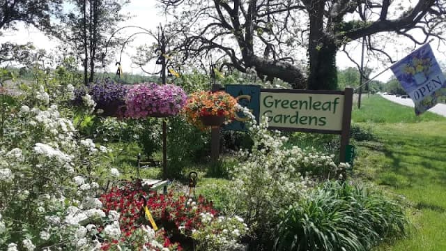 Buntons Greenleaf Gardens