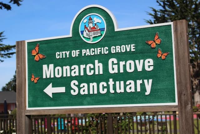 Monarch Butterfly Sanctuary