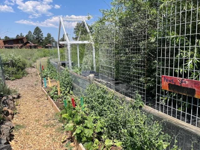Colton Community Garden