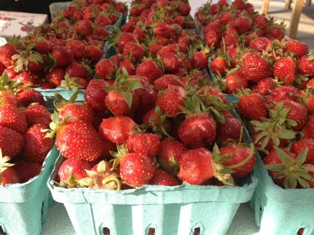 Holmquest Farms & Greenhouse