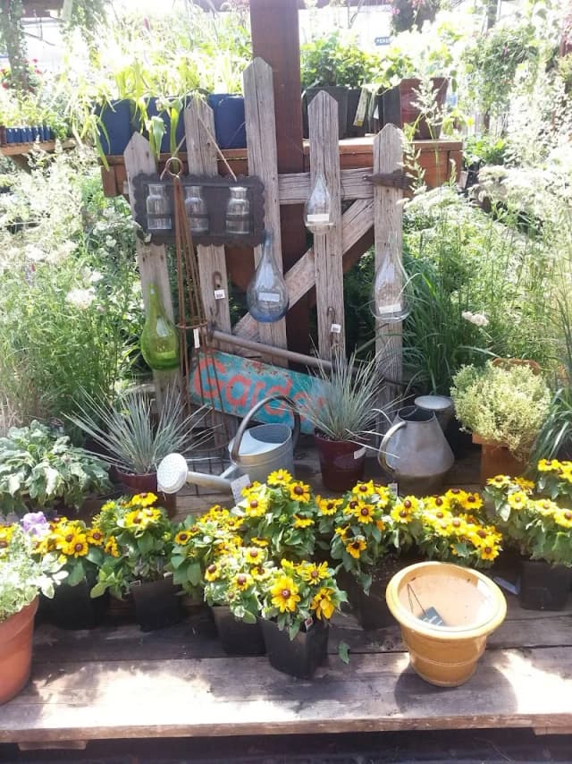 Moss Garden Center