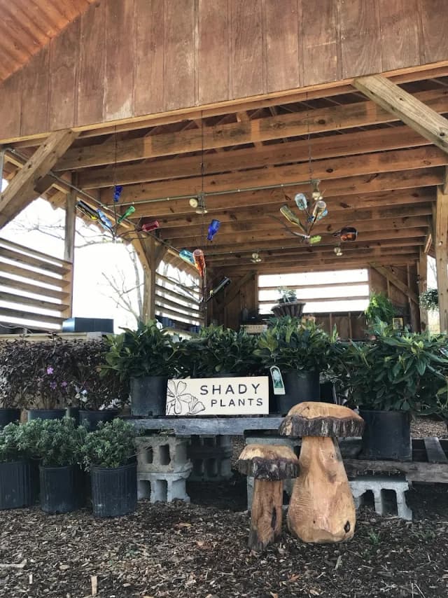 Sundaze Gardens