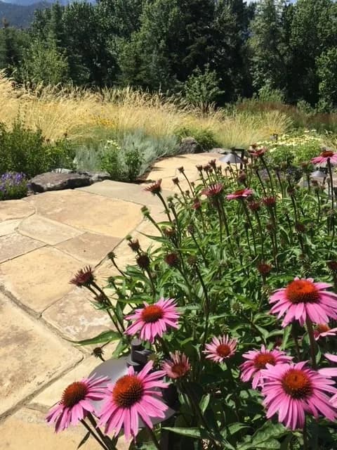 Paradise Landscape & Stone