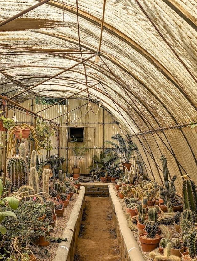 The World’s First Cactarium