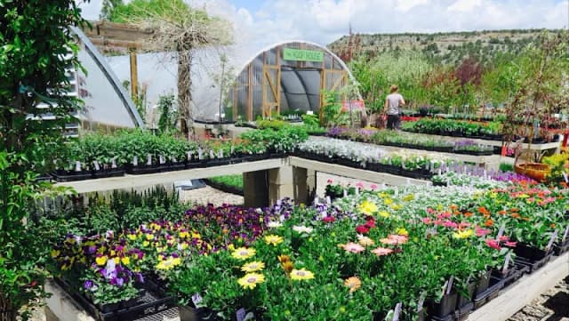 Durango Nursery & Supply Inc