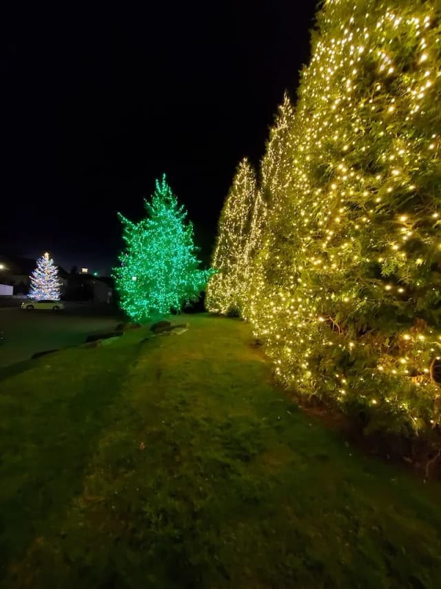 Kelsey-Hutchinson Founders Park