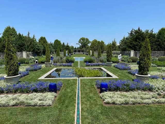Blue Garden
