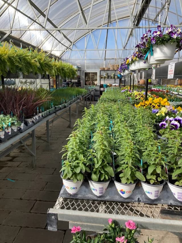Blueville Nursery Inc