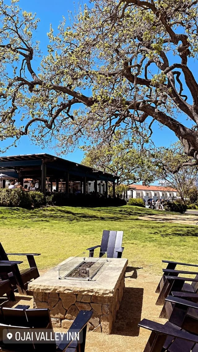 The Oak