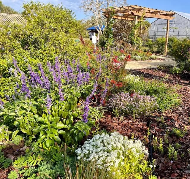 Brevard Discovery Garden