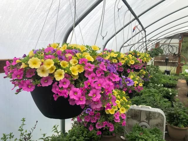 Blackberry Bog Farm
