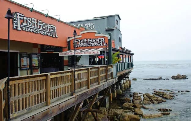 Fish Hopper