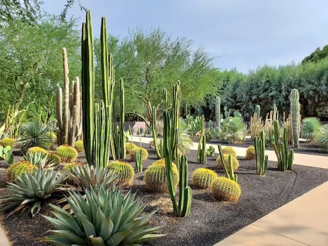 Sunnylands Center & Gardens