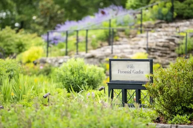 Wills Perennial Garden