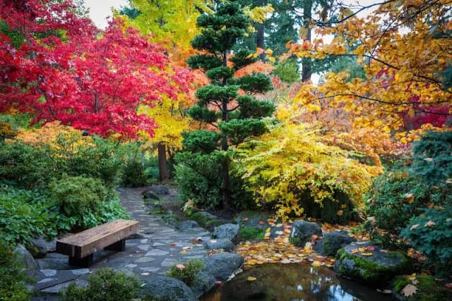 Japanese Garden