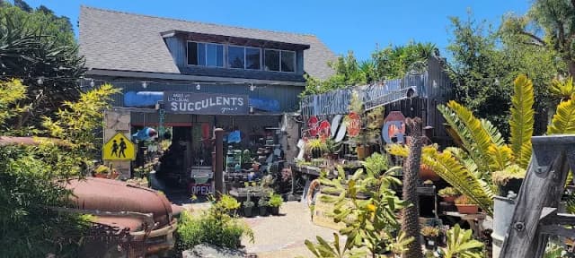 Garden Shed